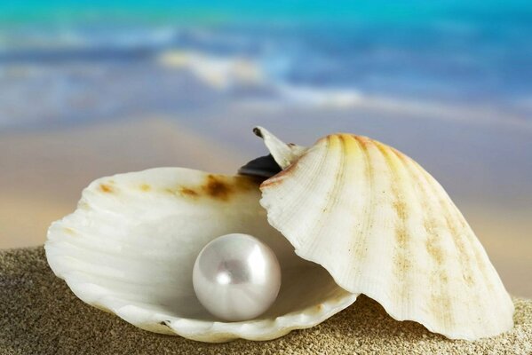 A pearl in an open shell on the sand