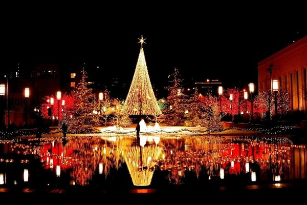 Weihnachtsbaum auf dem Platz