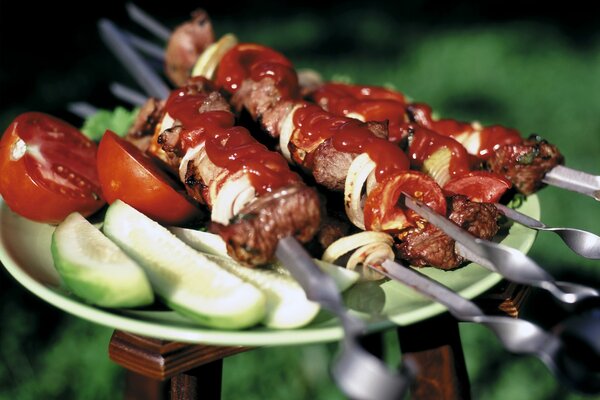 Köstlicher Schaschlik mit Ketchup und Gurke