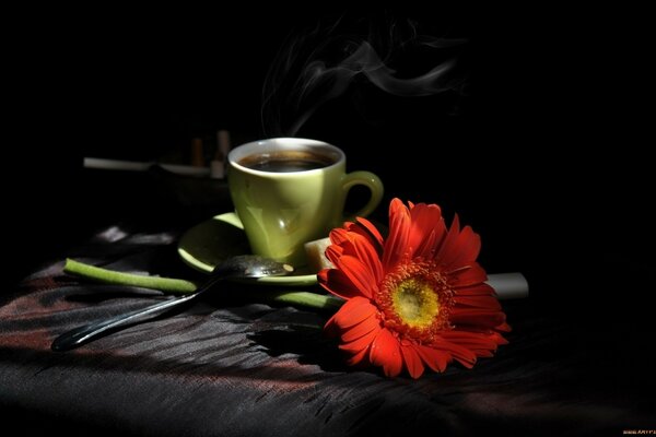 A mug of tea and gerbera on a black background