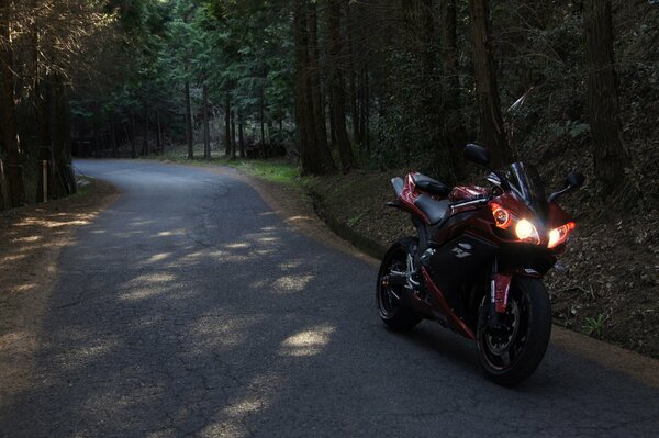 La motocicleta Yamaha se encuentra en la carretera contra el fondo de los árboles