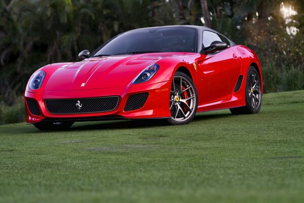 A red Ferrari is standing on the lawn