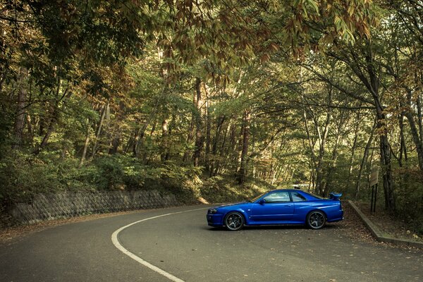 Nissan blue car on the background of nature