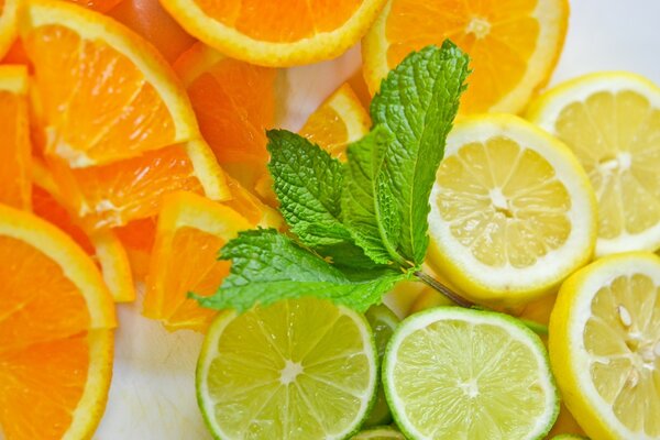 Cítricos estado de ánimo sobre un fondo claro. Cortar naranja Lima y limón