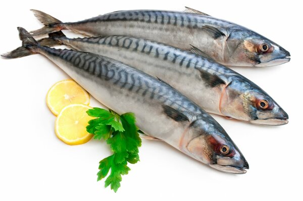 Tres peces sobre fondo blanco. Limón, perejil y pescado sobre fondo blanco