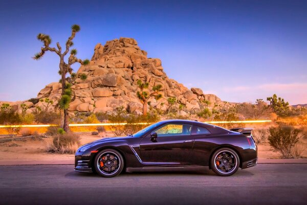 A chic car on a cliff background