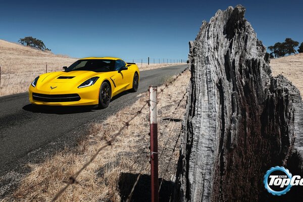 Course jaune de la vitesse supérieure