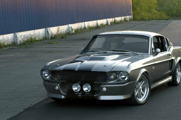 Ford Mustang gt500 sous le soleil du soir