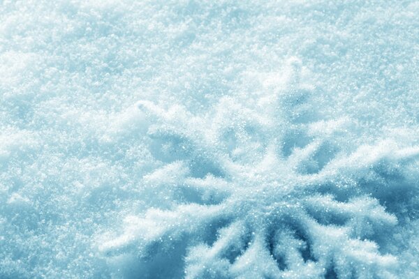 Un gran copo de nieve brillante descansa sobre la nieve