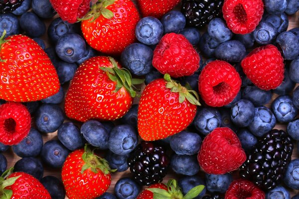 A scattering of blueberries, strawberries, raspberries, blackberries