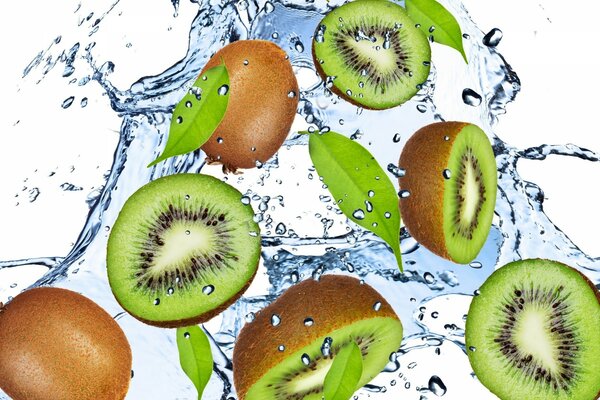 Kiwi und Blätter in Spritzwasser