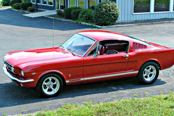 Red Ford Mustang on the asphalt at home