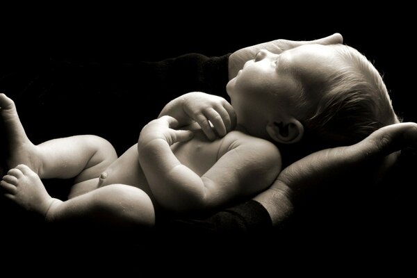 Newborn baby in the palms