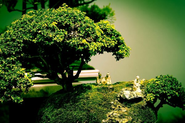 Beautiful composition of figures and bonsai