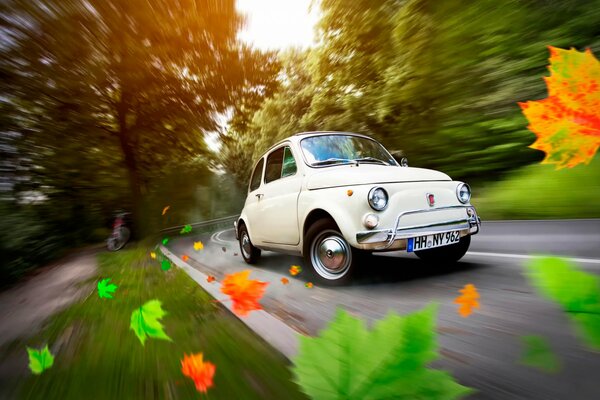 Fiat 500 clásico en la carretera en el bosque de otoño