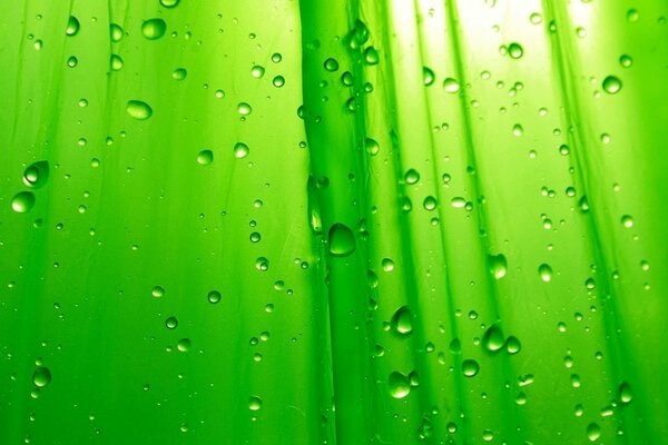 Cortina verde con gotas de agua