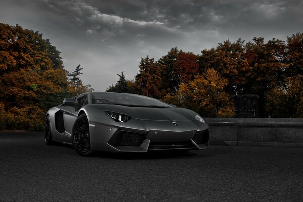 Lamborghini is on the road in autumn