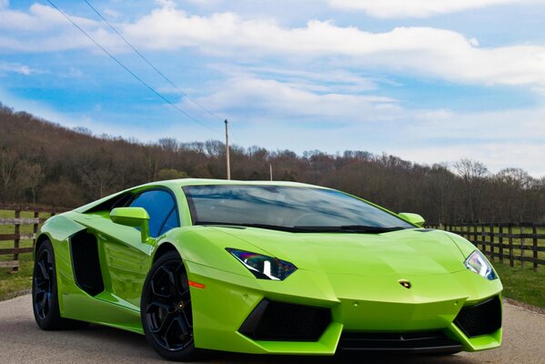 It looks very good against the background of the green supercar lamborghini aventador lp700-4