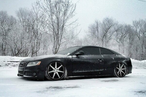 Black audi on the background of winter nature