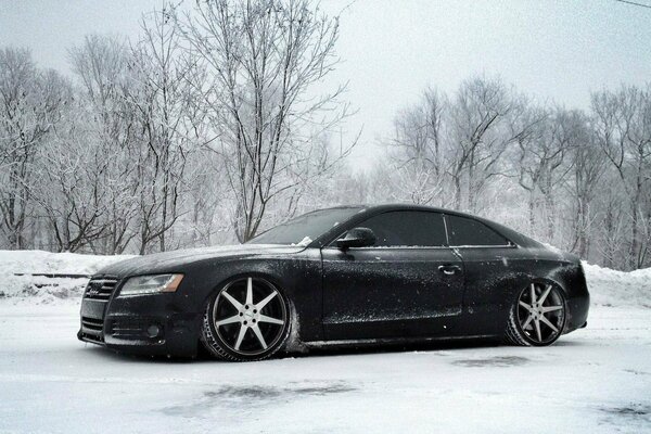 Audi noir sur fond de nature hivernale