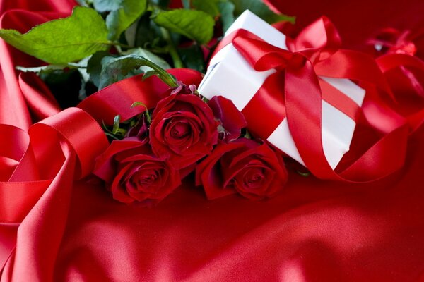 Rosas rojas y regalo blanco con cinta roja