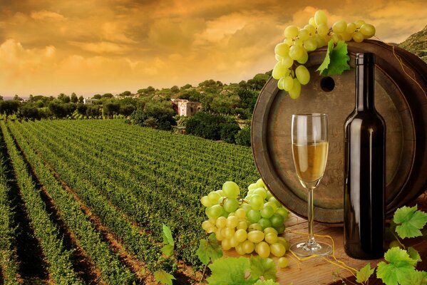 Bunches of grapes, an abundance of wine and a glass on the background of a field