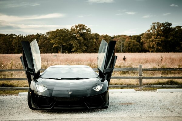 Lamborghini avec portes ouvertes sur fond de champ