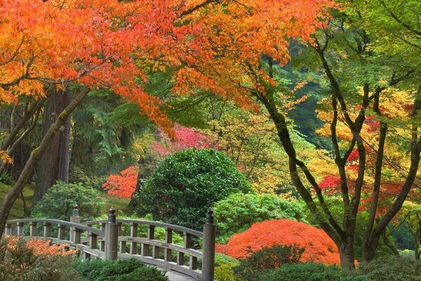 Brücke von Japan Park Herbst