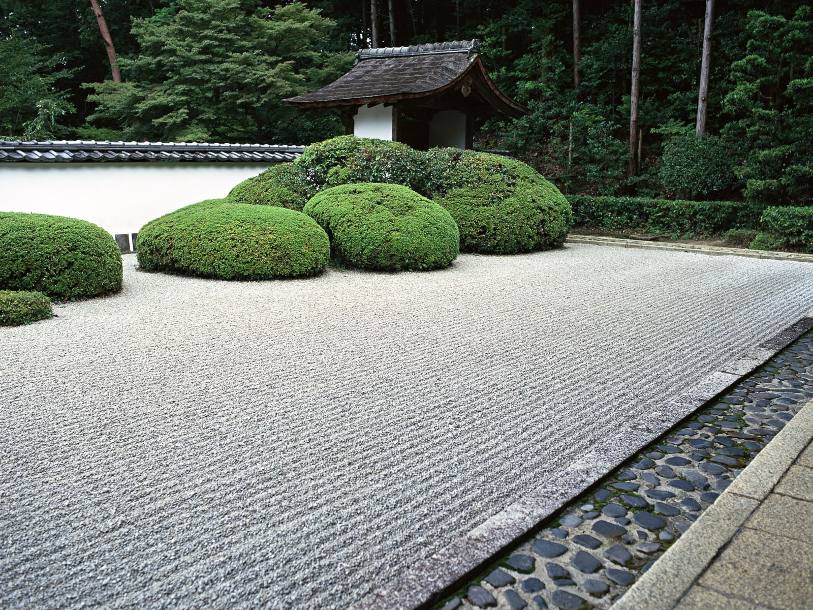 giappone giardino cespugli