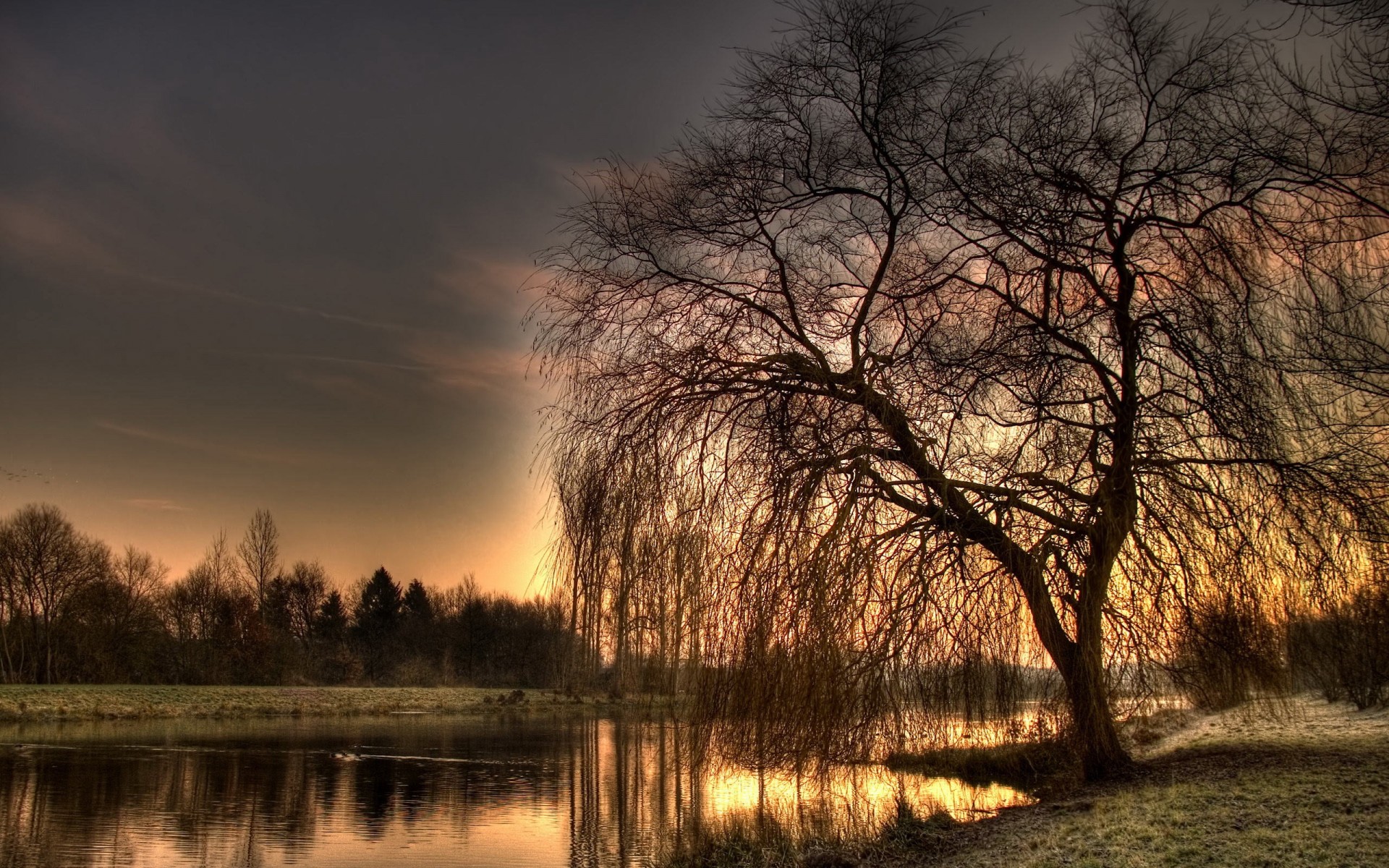 baum fluss hdr