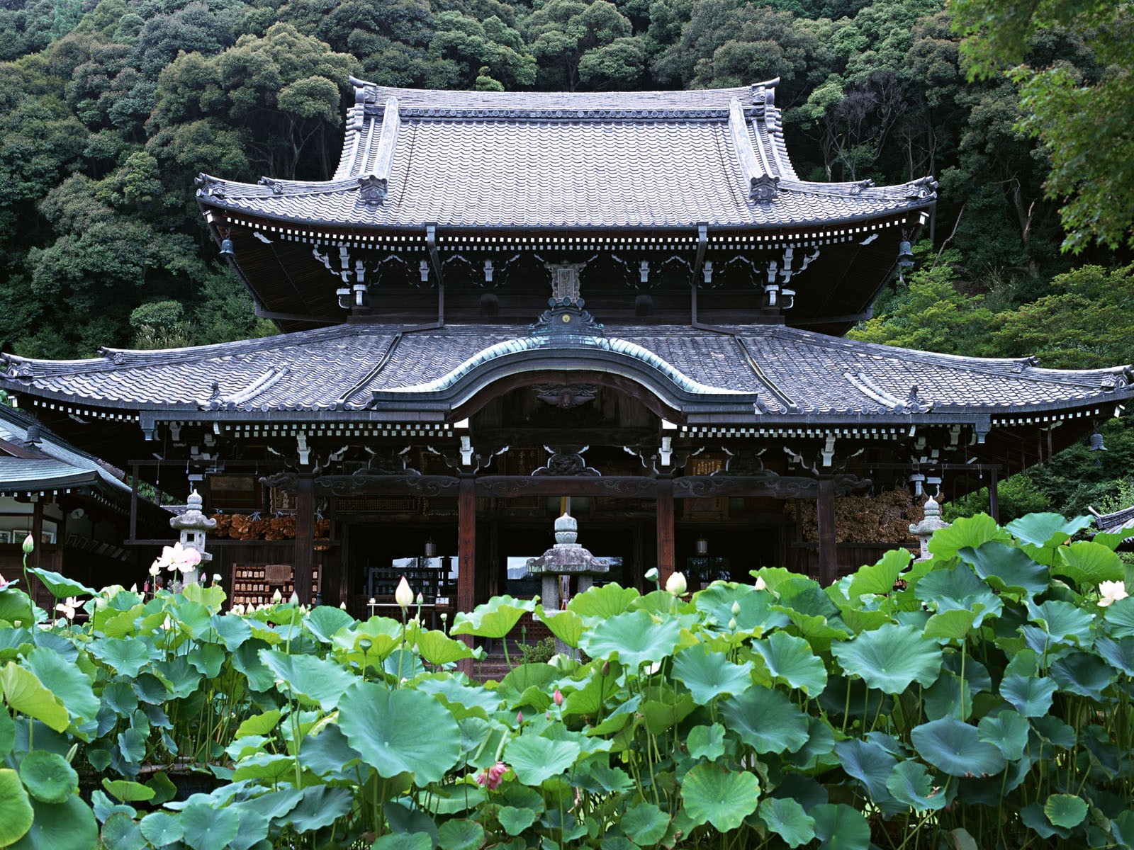 japón templo bosque