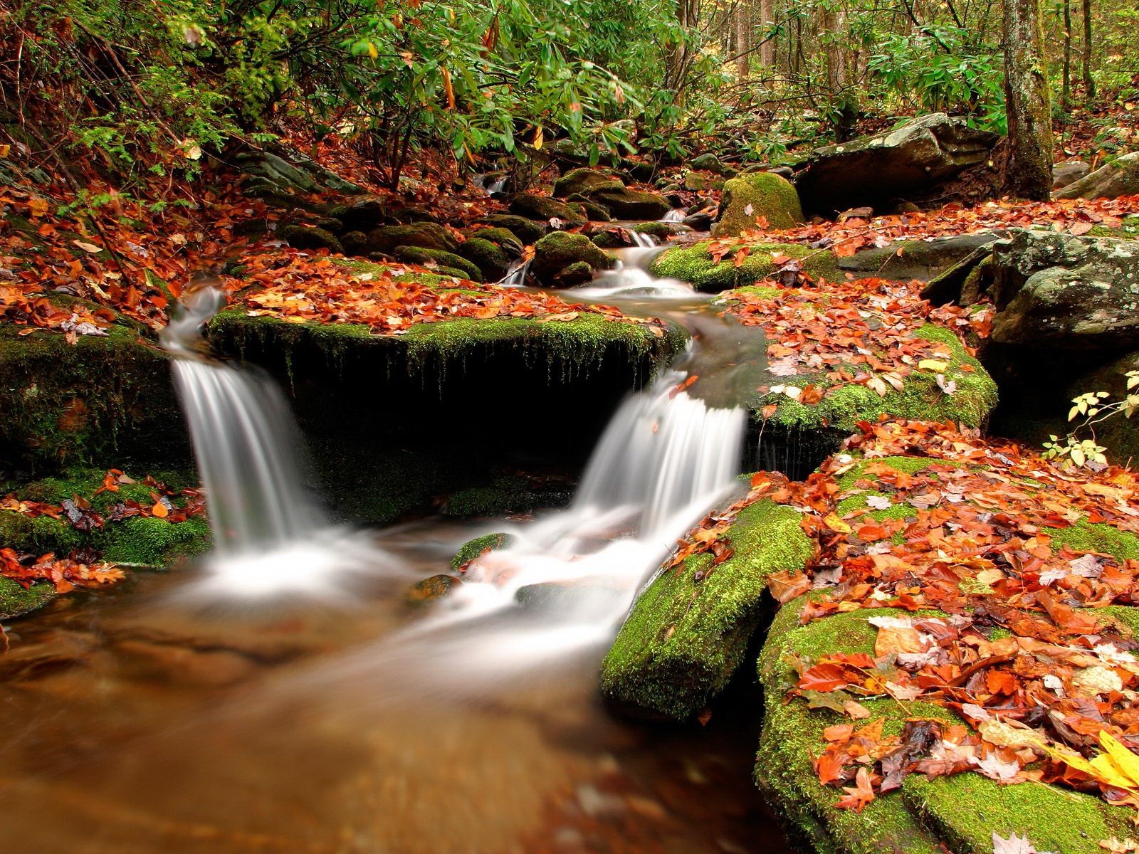 pierres feuilles automne ruisseau eau