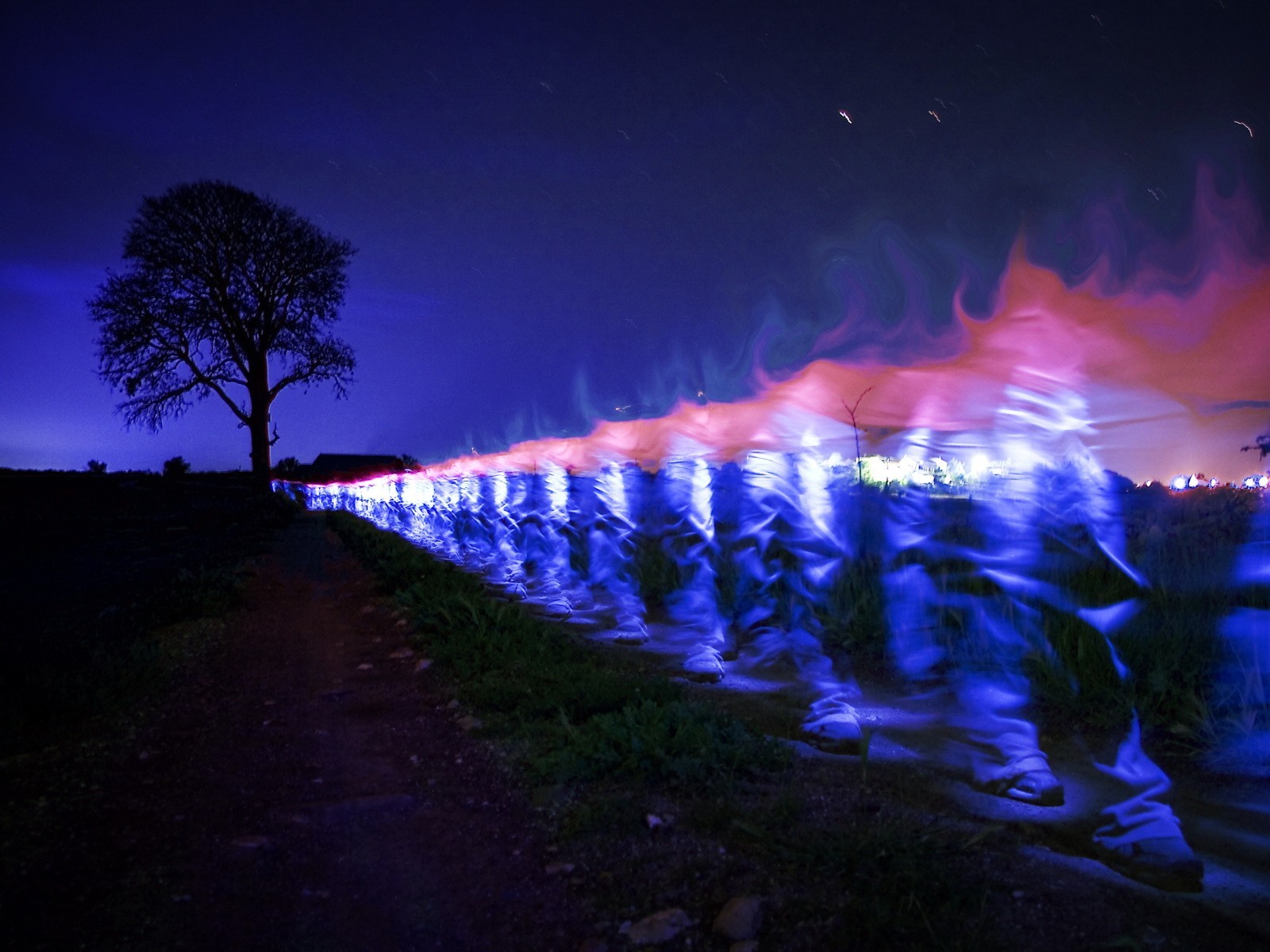 nuit arbre lumière pieds