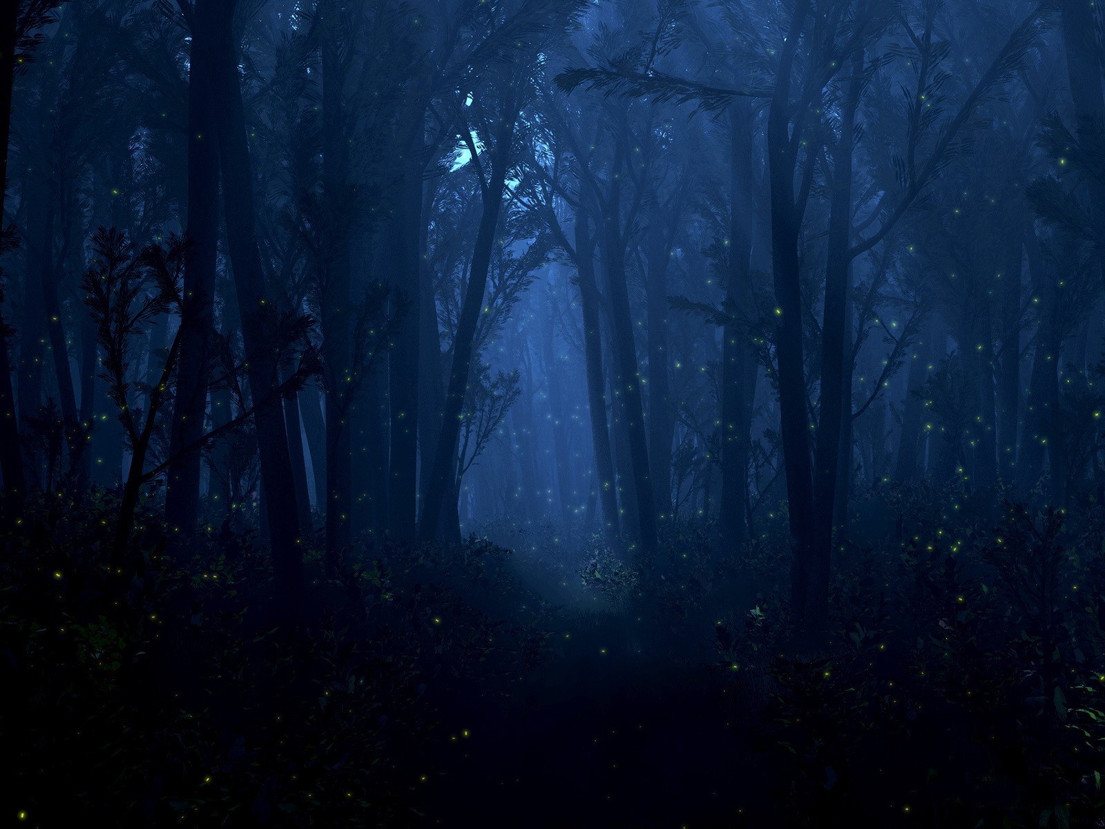 noche luciérnagas luces luz bosque árboles