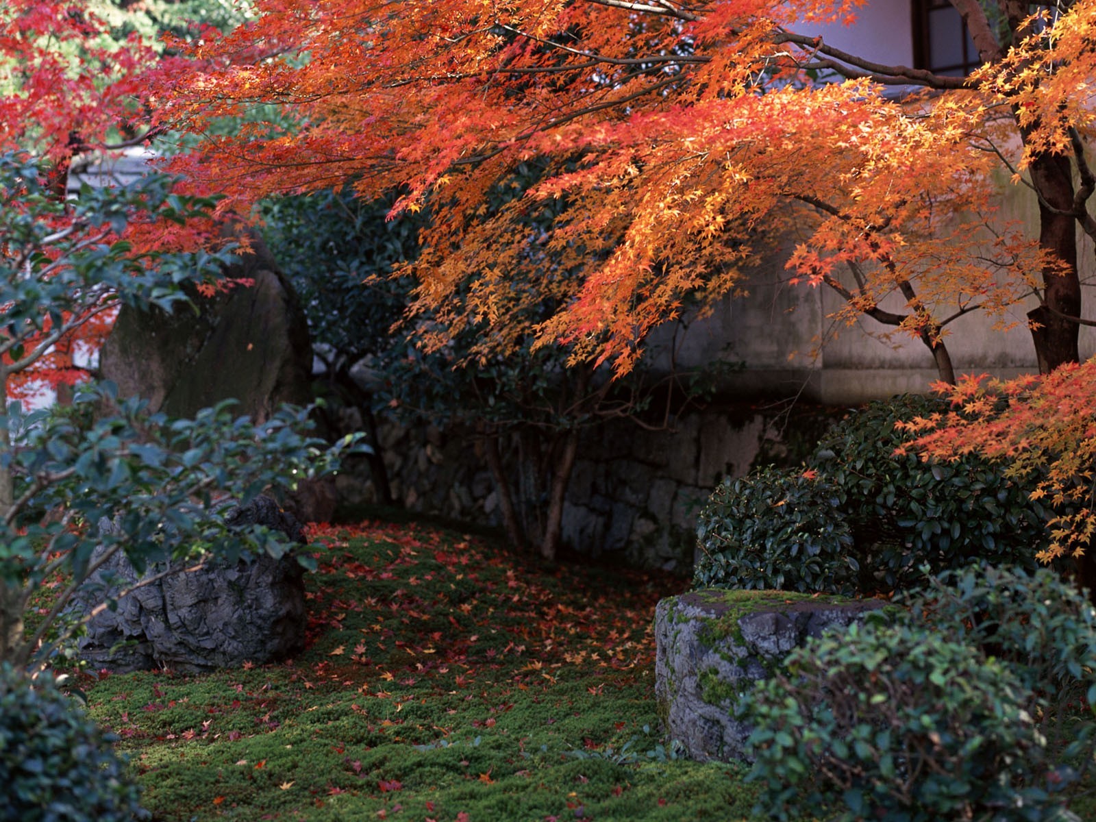 japan garten herbst