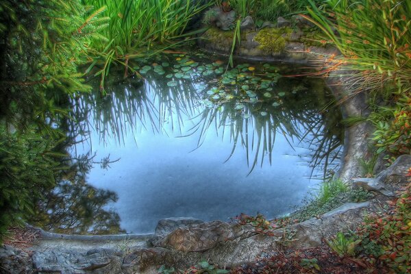 A puddle in the middle of grass and stones