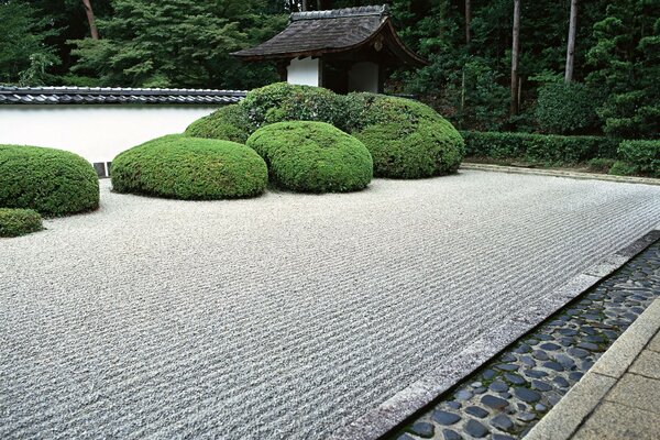 Garten mit Büschen im japanischen Stil