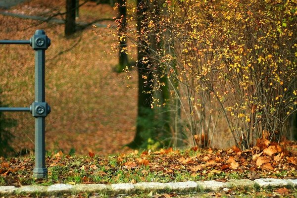 Ossnitzer Park. gelbe Blätter liegen auf Steinen