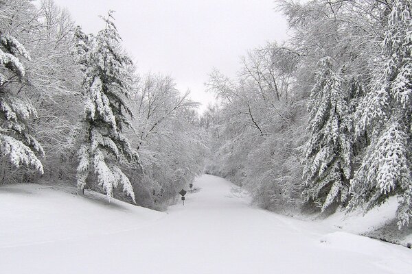 Verschneite Winterstraße im Wald