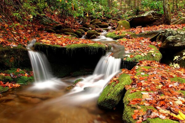 Kleiner Wasserfall mit Stromschnellen im Herbstwald