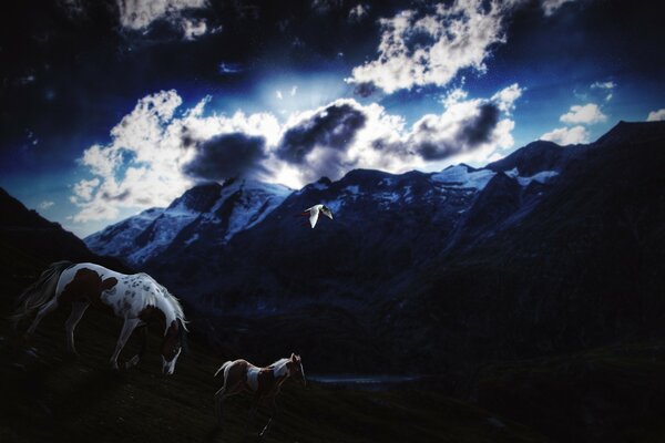 Caballos en el fondo del cielo nublado nocturno