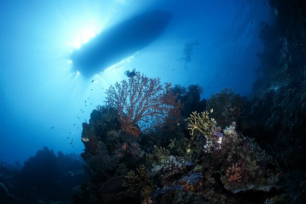 Plongée sous-marine au fond