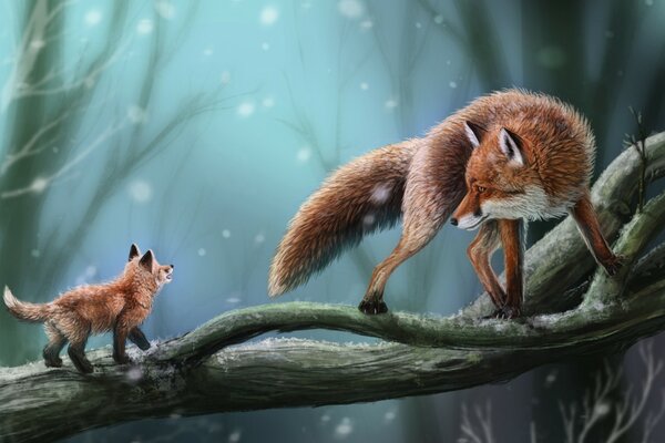 Maman Fox regarde le renard