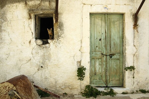 A cat is sitting in the window of an old house