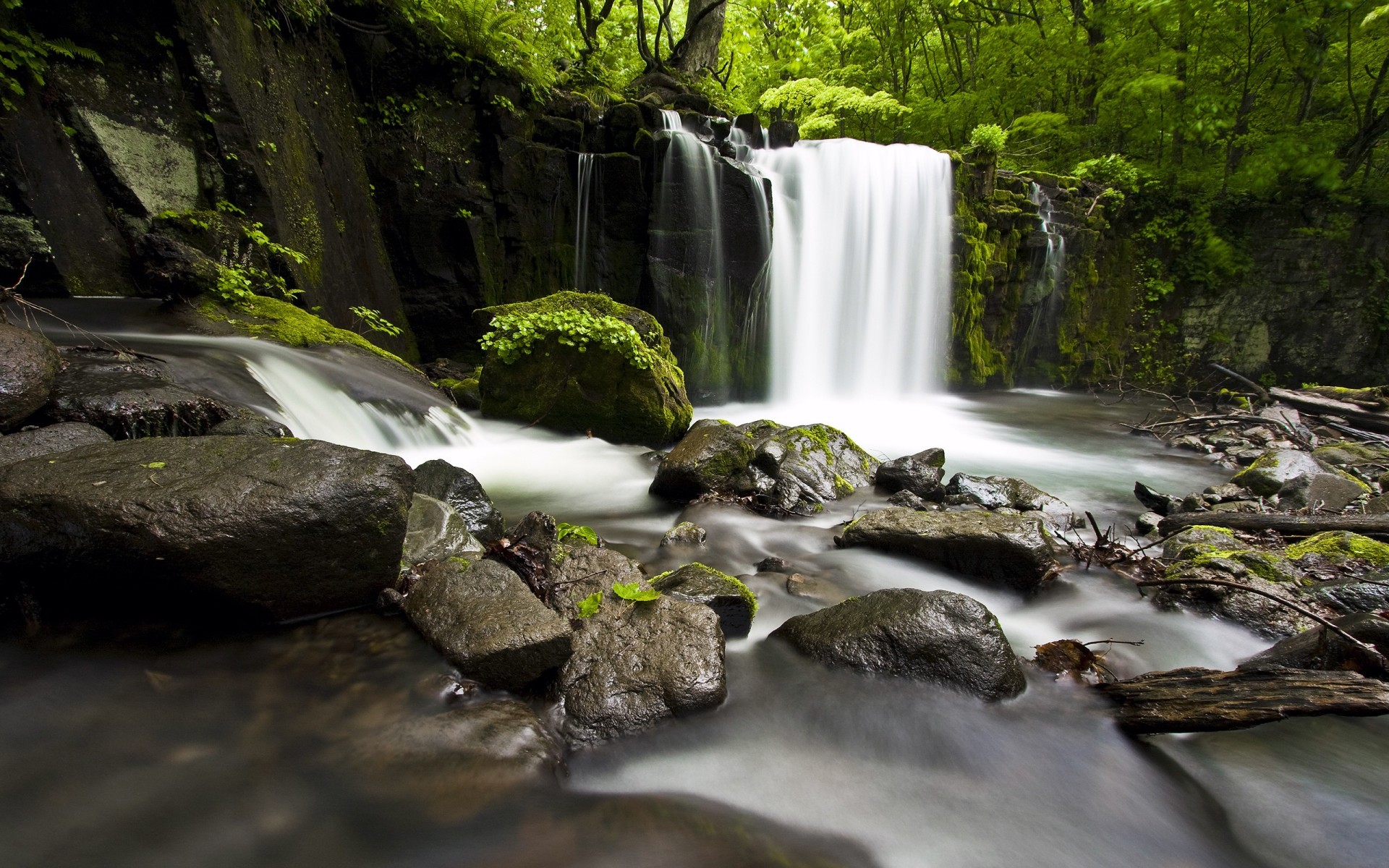 cascata pietre piante acqua