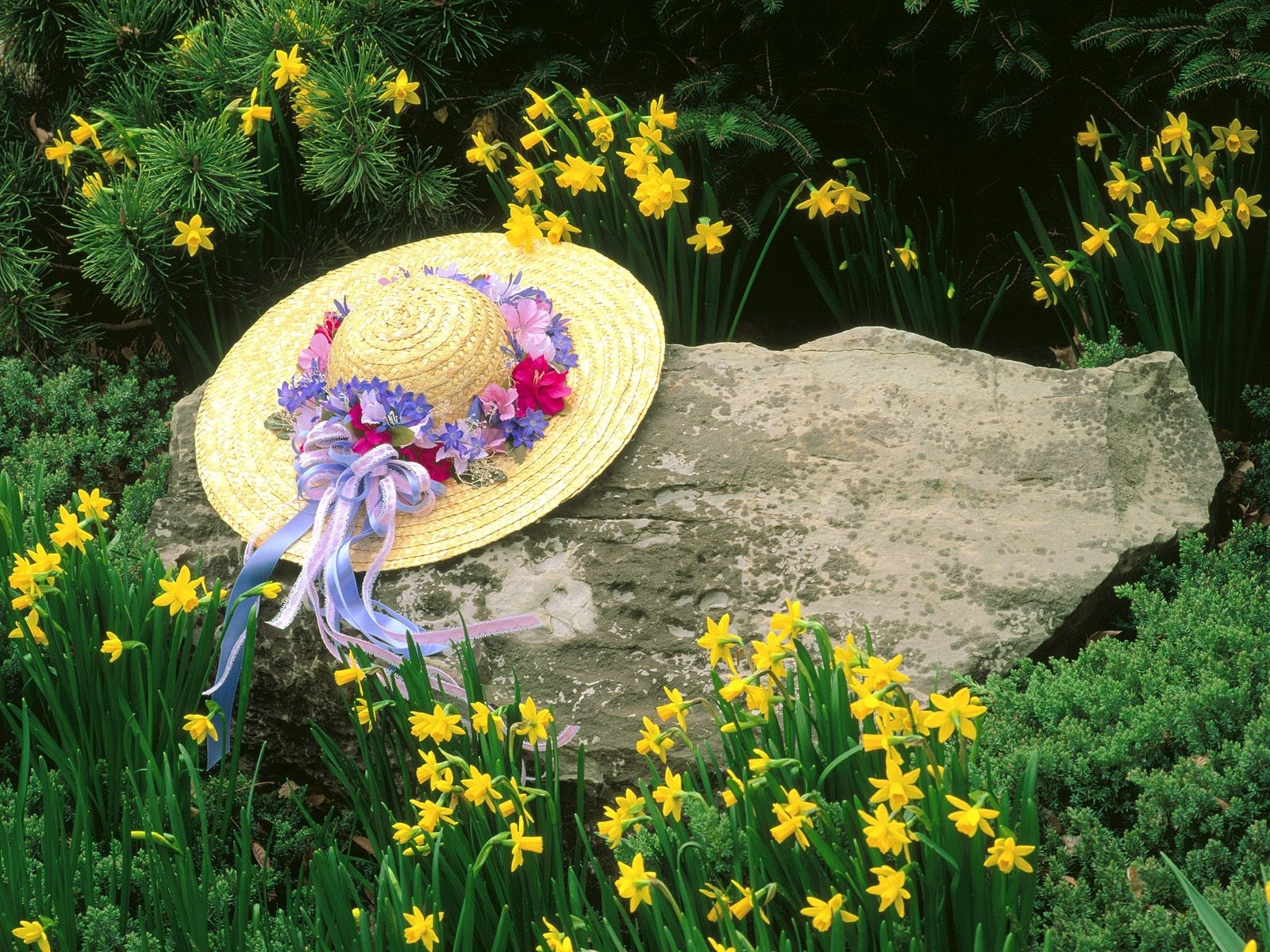 louisville kentucky hat stone flower