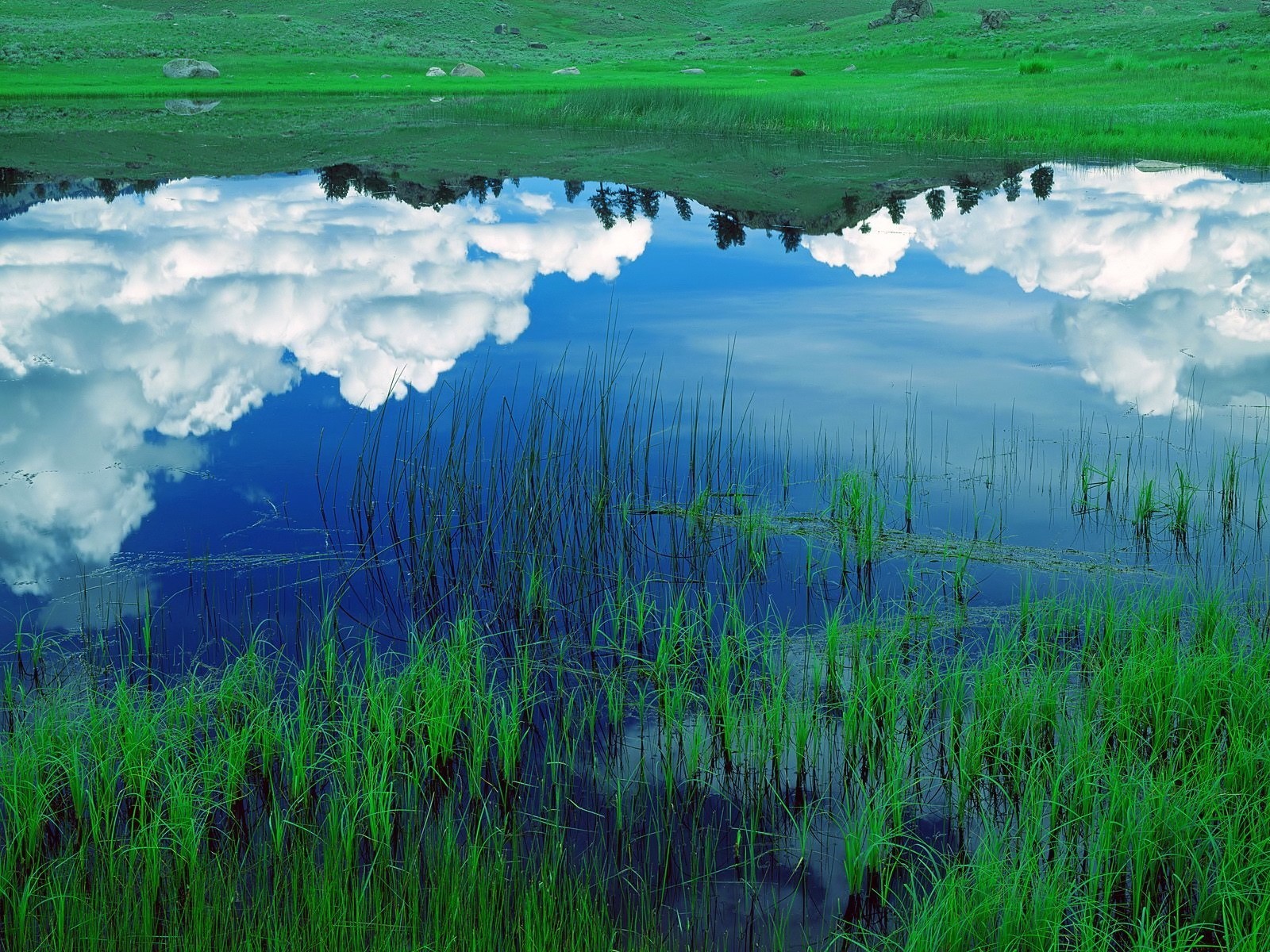 nuvole riflessione lago erba