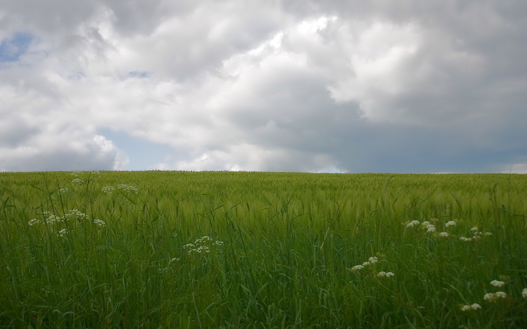 campo verde nubes