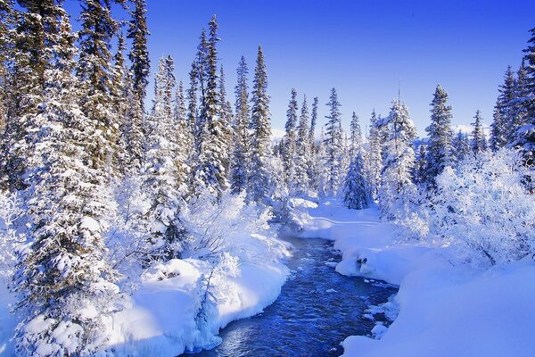 Ein verschneiter Märchenwald und ein Fluss
