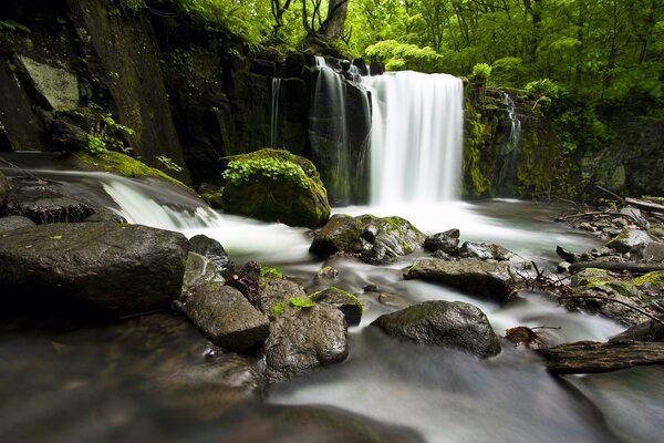 Ein kleiner Wasserfall im Wald. Landschaft